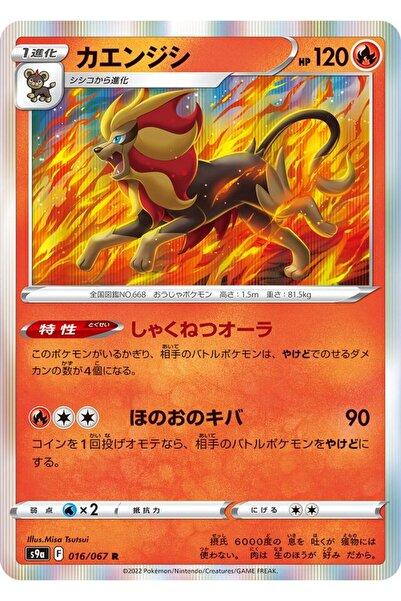 YUONİS ART Jap - Pokemon / Pyroar / Battle Region / 16/67