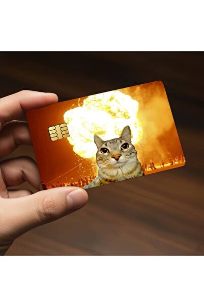 Choice z2 18.6x13.7CM Fun Cat Meme Zazu Credit Decorative Card Stickers Suita...