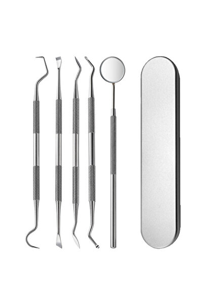 Choice 5 in 1 Dental Kit Tool Stainless Steel Plaque Remover, Oral Care With ...