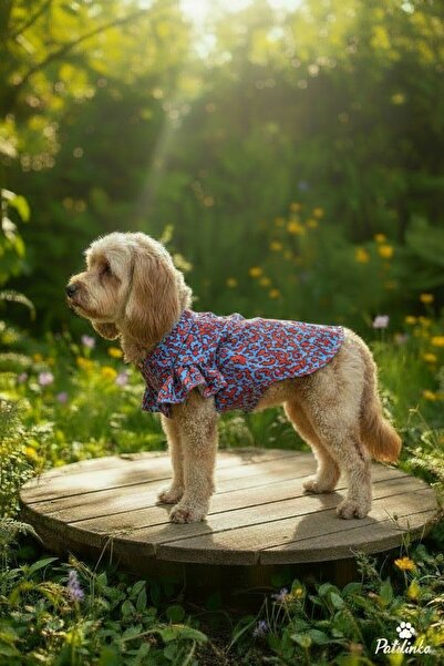 PATİLİNKA Cat-Dog 100% Cotton Viscose Summer Shirt - Undershirt - Dress - Clo...