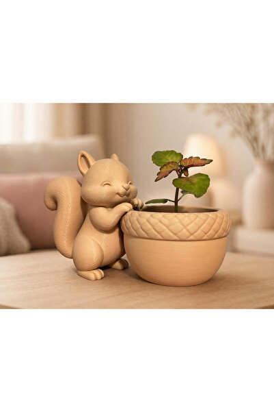 Mays3Dstudio Sevimli Sincap Saksı Dekoratif Mini Çiçeklik