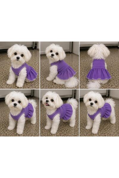 Berliva Home Purple Daily Pet Cat-Dog Outfit
