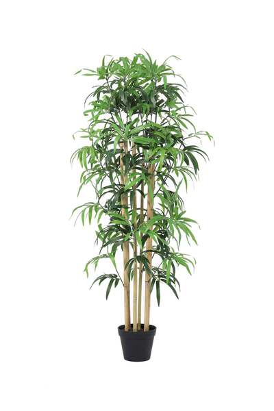 Highpoint High Point Tree with Elegant Natural Details Adds Vitality to Livin...