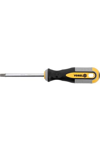 Vorel Surubelniță Torx T40X100Mm
