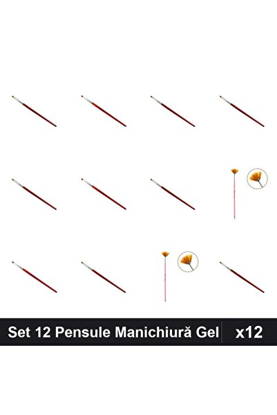 NAİLS Set 12 Pensule Manichiură Gel, Tesit, Limbă Pisică, Evantai, Profesional