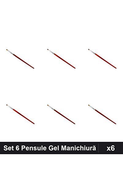 NAİLS Set 6 Pensule Manichiură Gel, Model Tesit și Limbă Pisică, Profesionale
