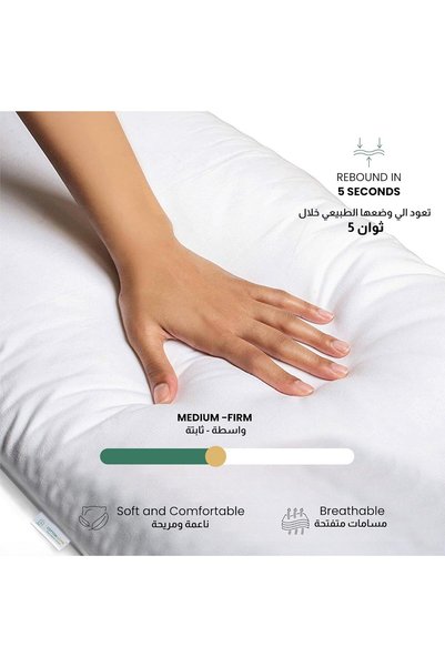COTTON HOME ® Classic Pillow 50X70 cm Bed Pillows for Sleeping Supersoft Hotel Luxury Anti-bacterial Standard Sleep