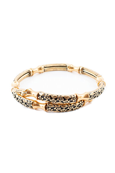 Alex and Ani Bratara Metal V16W05RG