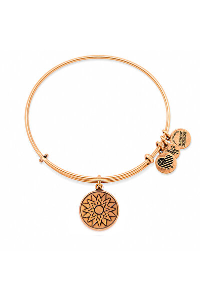 Alex and Ani Bratara Metal CBD14NBRG