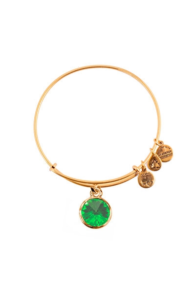 Alex and Ani Bratara Metal A12EB247RG
