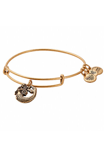 Alex and Ani Bratara Metal A17EB74RG