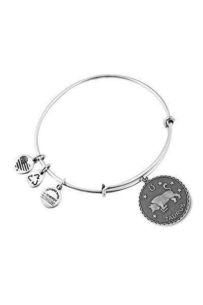 Alex and Ani Bratara Metal A07EB40TARS