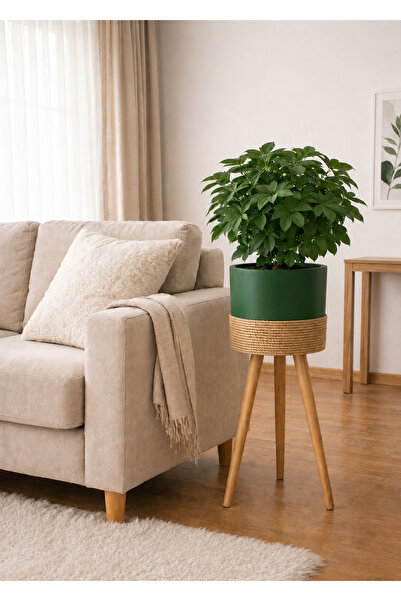 BLACK PEARL Bambu Ahşap ayaklı saksı beyaz halat