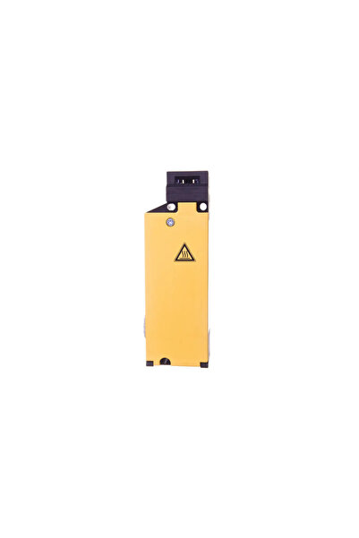 Eaton Siguranță electromagnetică 1Z 1R cu blocare electromagnetică LS-S11-24D...
