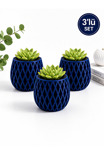 ngn collection Modern Dekoratif Kaliteli Skulent Saksısı 3'lü Set