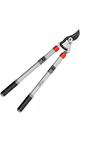 DEDRA EXIM Foarfeca pentru crengi, tip BY-PASS, cu transmisie, mâner telescopic