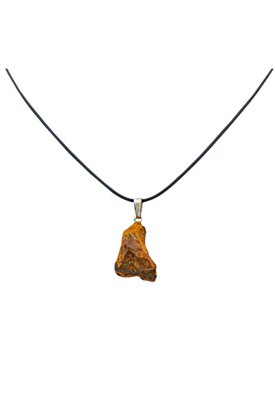 Palo Santo Raw Crystal Tiger's Eye Pendant -