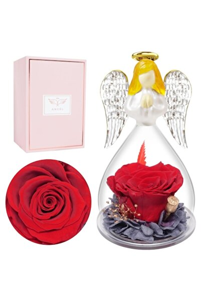 MİOFİVE Miofula Decorative Preserved Rose, Guardian Angel Figurine, Transpare...