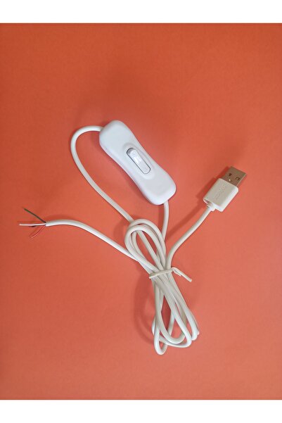 Class Arapuarlı datali USB kablo