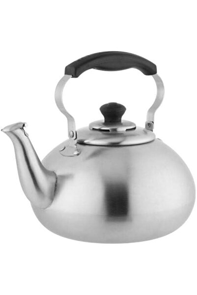 Trust Pro Whistling Stainless Steel Kettle from Trust Pro, 3.8 Liters, Stainl...