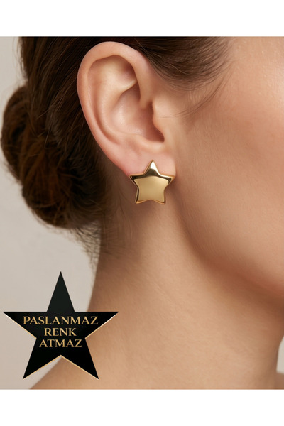 stainless steell 316L Steel Women's Star Earrings
