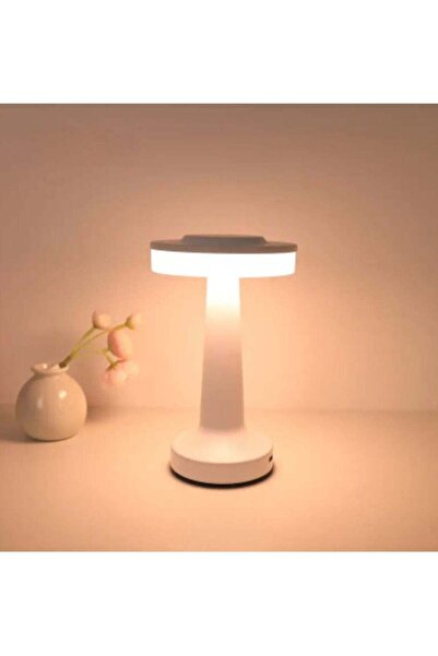 general brand Adjustable LED Table Lamp with Three Levels, Rechargeable, Touc...