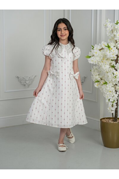 Generic Girls' Classic Luxury Embroidered Floral Dress with Soft Lace Collar ...