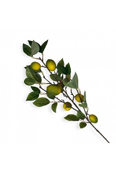 OEM Green-Yellow Lemon Branch