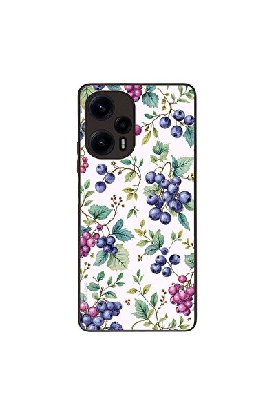 Sonique Θήκη Fruit Series για Xiaomi Poco F5 5G Μύρτιλο
