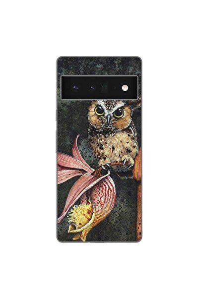 OEM Husa compatibila cu Google Pixel 6 Pro Silicon Gel Tpu Model Owl Painted