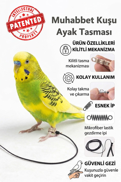 ozzipetshop Muhabbet Kuşu icin Ayak Bilek Tasmasi Guvenli Gezdirme
