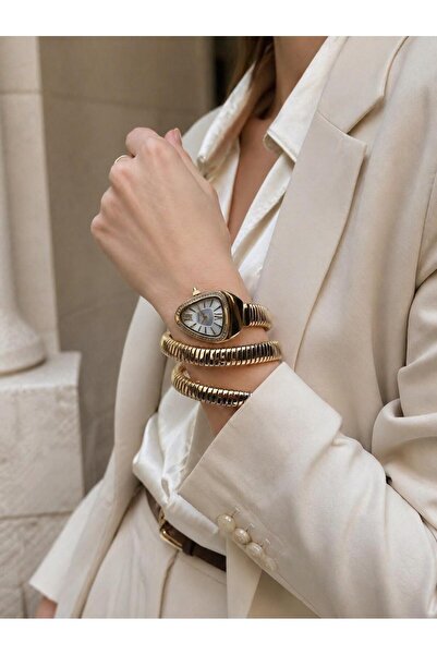 Ferrucci Snake Model Women's Wristwatch Steel Band Blackening Color Does Not ...