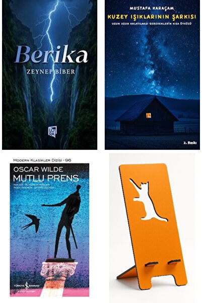 TÜRKİYE İŞ BANKASI KÜLTÜR YAYINLARI Berika + the Song of the Northern Lights ...