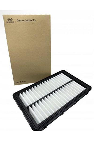Hyundai Air Filter Gines 2008 + 2013 Original