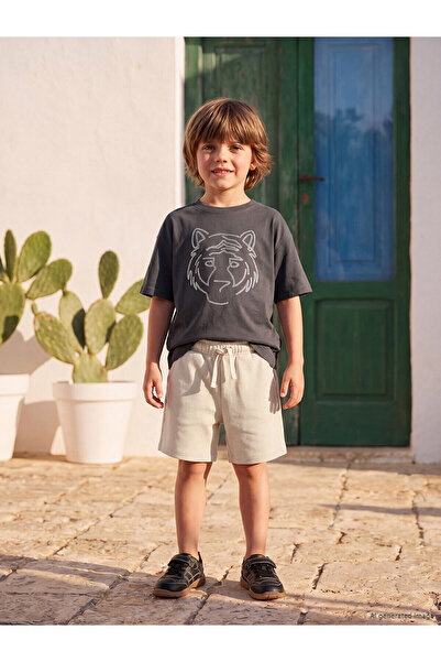 LC Waikiki Seray New Season Boys' Embroidered T-Shirt and Shorts