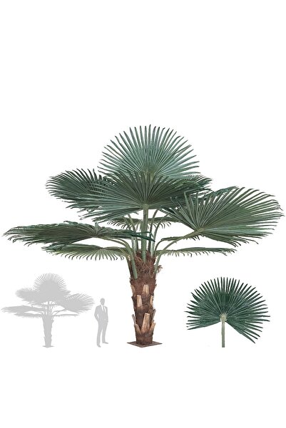 Roberto Rossi Palmier artificial H200cm Washingtonia cu trunchi, coroană D300...