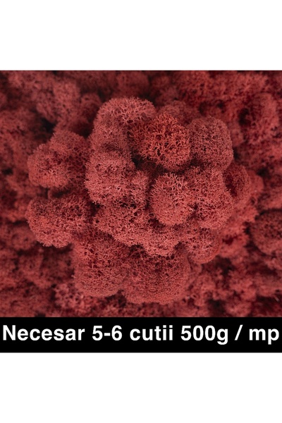 Roberto Rossi Licheni curatati si fara radacina conservati 500g NET, calitate...