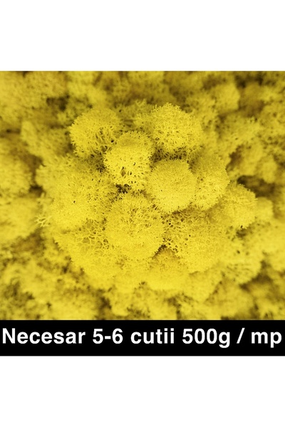 Roberto Rossi Licheni curatati si fara radacina conservati 500g NET, calitate...