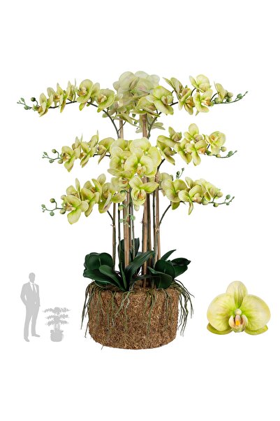 Roberto Rossi Orhidee artificiala verde cu aspect H90 cm cu 9 tulpini
