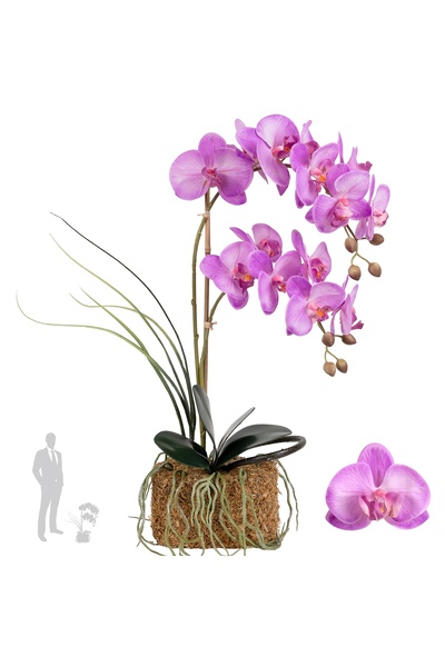 Roberto Rossi Orhidee artificiala mov deschis cu aspect H58 cm cu 2 tulpini