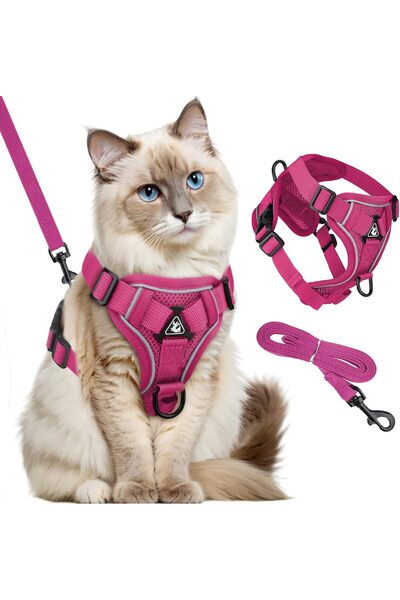 Otto Common حزام للقطط من GlasFlength مع حبل، حزام مقاوم للهروب للقطط مع حبل ...
