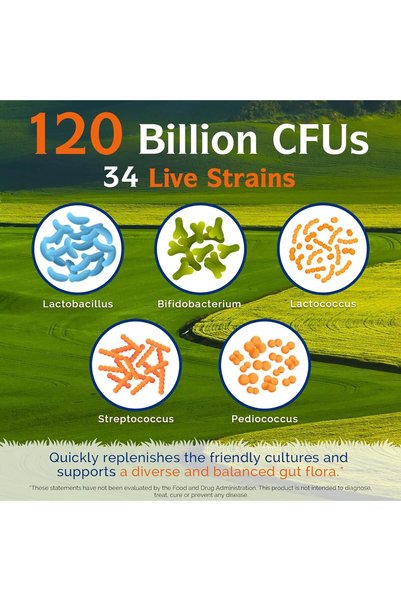 Innate Vitality 3-in-1 Probiotic 120 Billion CFU, 34 Strains, Organic Prebiotics & Digestive Enzymes - 30 Capsules