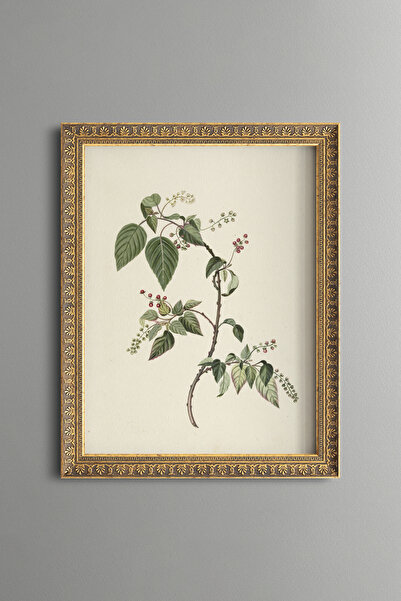 epiqart Wild Berry Branch Illustration - Vintage Patterned Frame - Thin Model