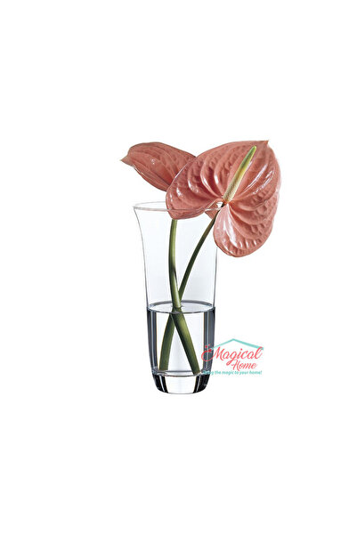 COK Vaza Alegria 20.5 cm