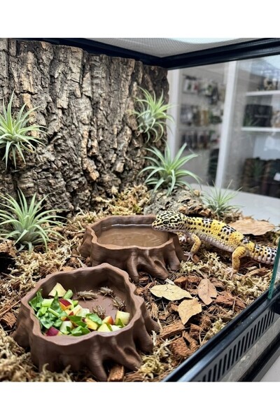 nexlun Trunk Sürüngen Yemek ve Su Kabı – Leopard Gecko, Kertenkele, Teraryum ...
