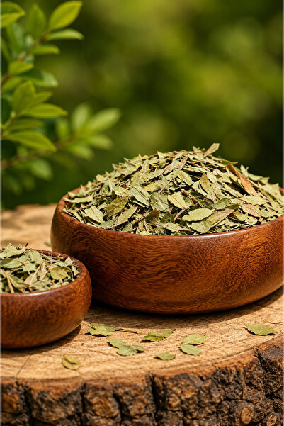 Natura Şifa 500 Gr Senna Leaf Dried Herbal Tea 100%