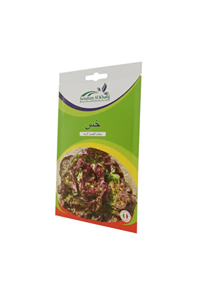 Z-CUP بذور زراعة سنديان الخليج خس-عجائب الفصول الاربعة 6 جرام