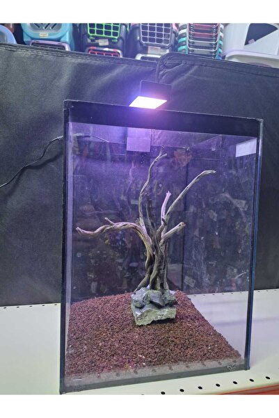 Aqua YENİ NESİL BETTA HOUSE AKVARYUM ASKI LED LAMBALI 16x15x25 cm