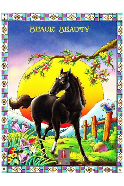 Editura Astro Black Beauty, Anna Sewell - Astro Publishing House