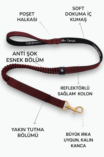 CARAMELOS Shock Absorbing Dog Leash, Anti Shock Spring Dog Leash - Sturdy Walking Strap Suitable for Large and Medium Breeds